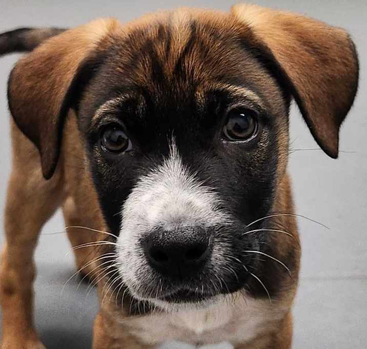 Photo of Bingo