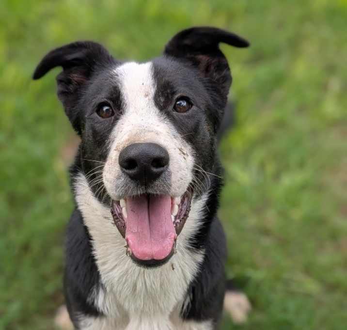 Photo of Jack Jack