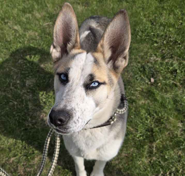 Photo of Willa
