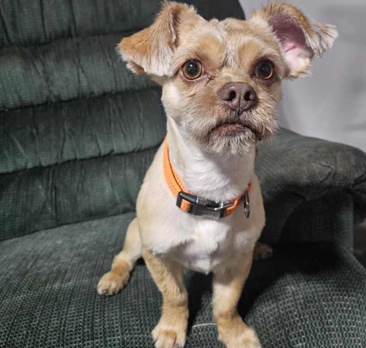 Photo of Abner