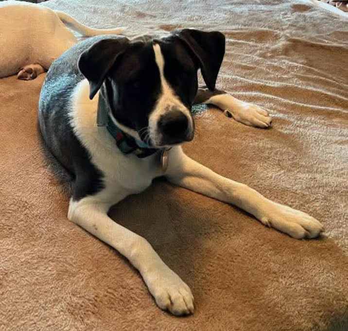 Photo of Sammy