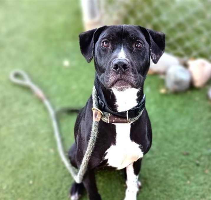 Photo of ARYA