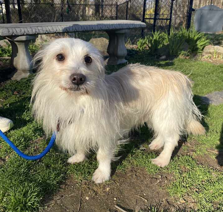 Photo of Spunky