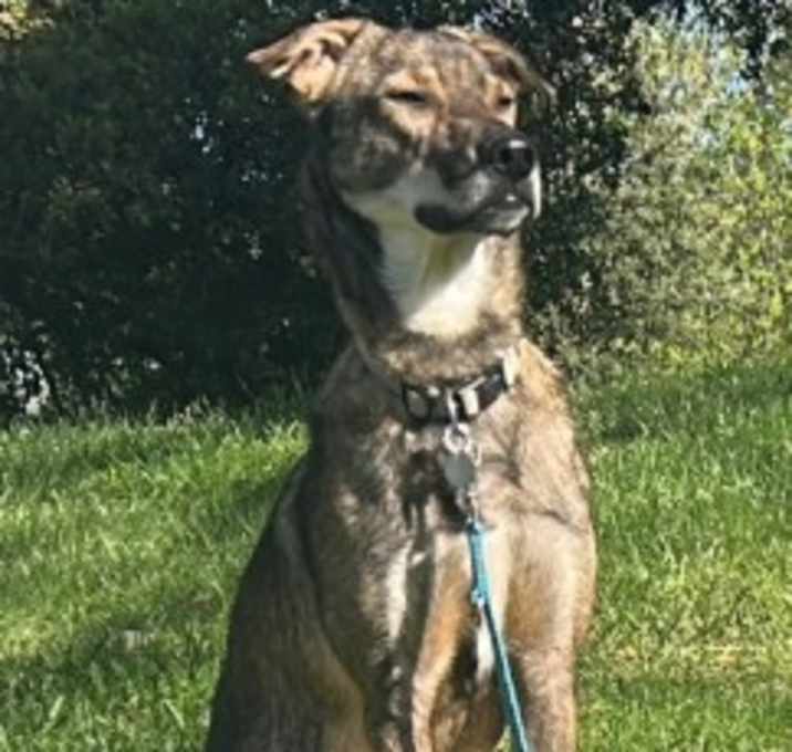 Photo of Solo