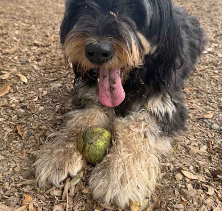 Photo of MALLORY (Maggie)