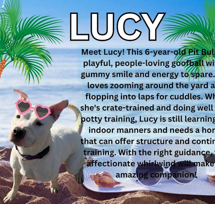 Photo of Lucy