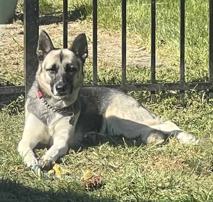 Photo of MAGGIE