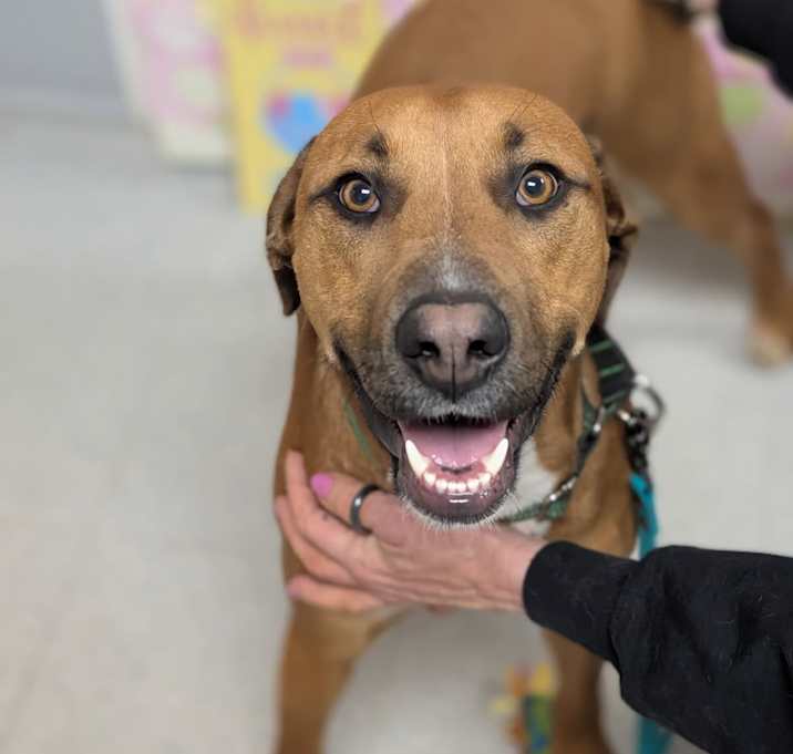 Photo of Duchess