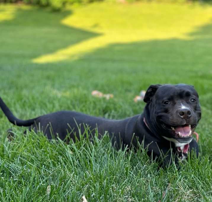 Photo of Capone