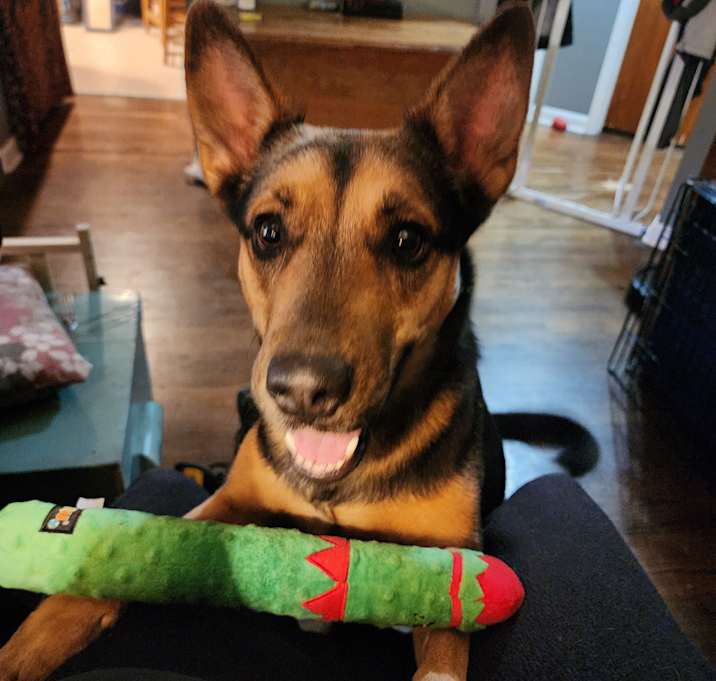 Photo of Heidi