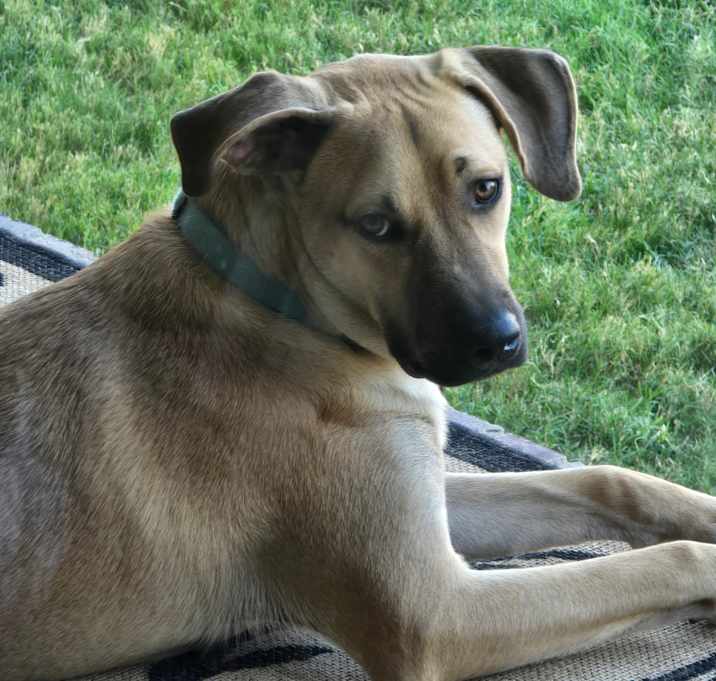 Photo of Sheriff