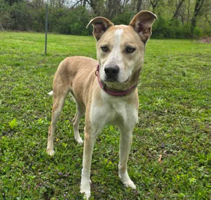 Photo of Tucker