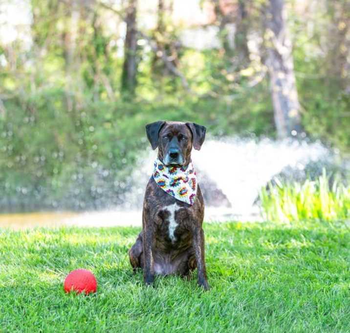 Photo of Willie