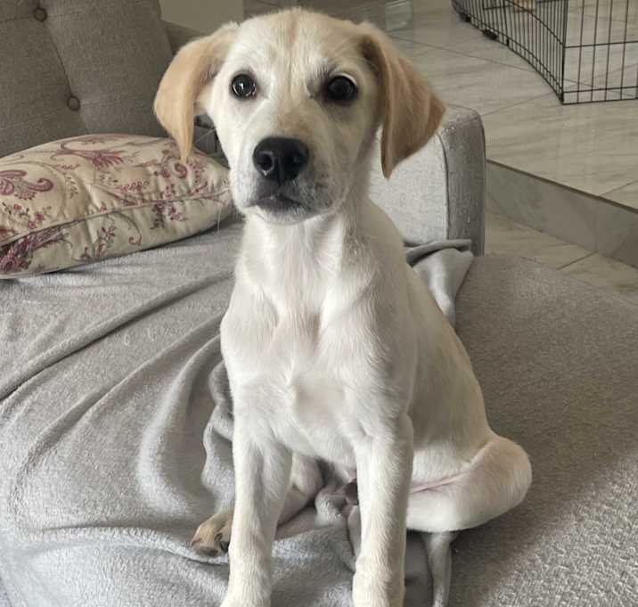 Photo of Big Boy