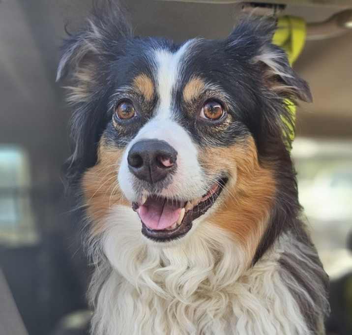 Photo of Jackson