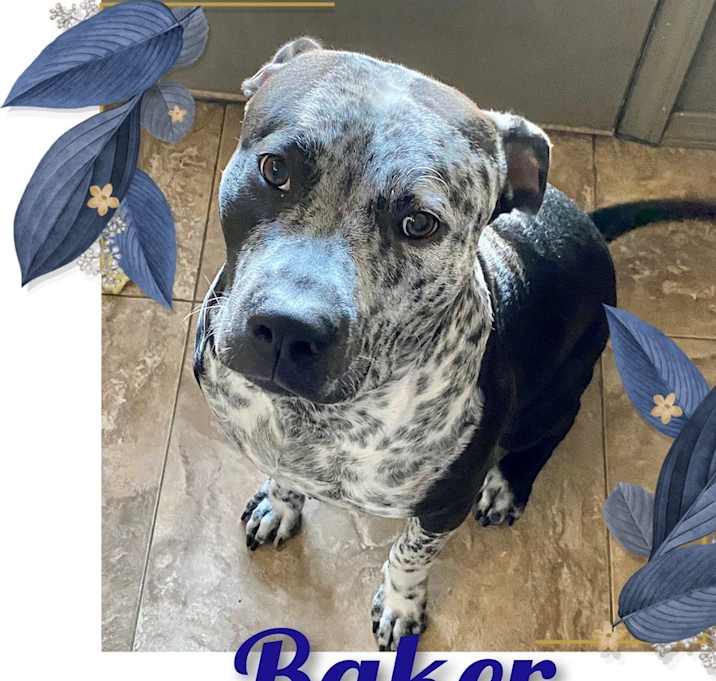 Photo of Baker