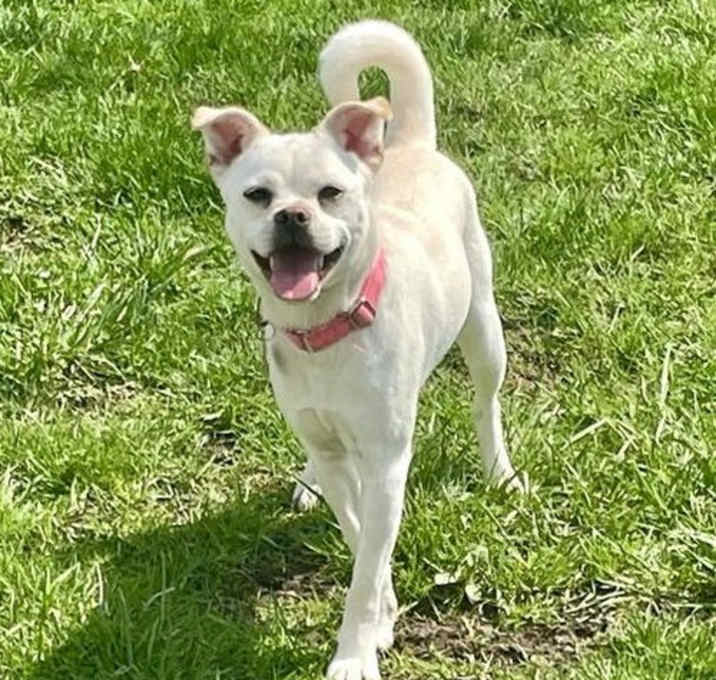 Photo of Princess