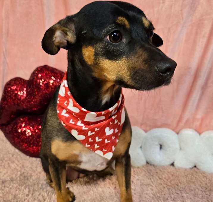 Photo of Fiona (Fi Fi)