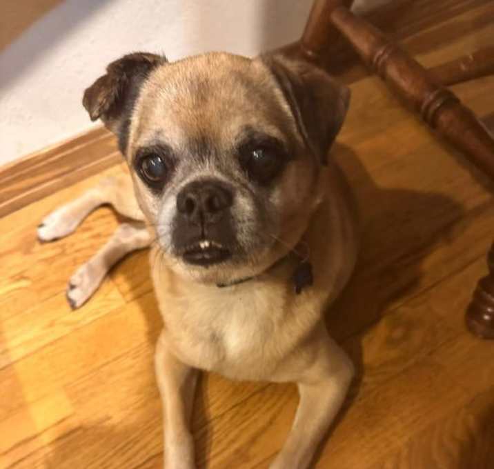 Photo of Alfie