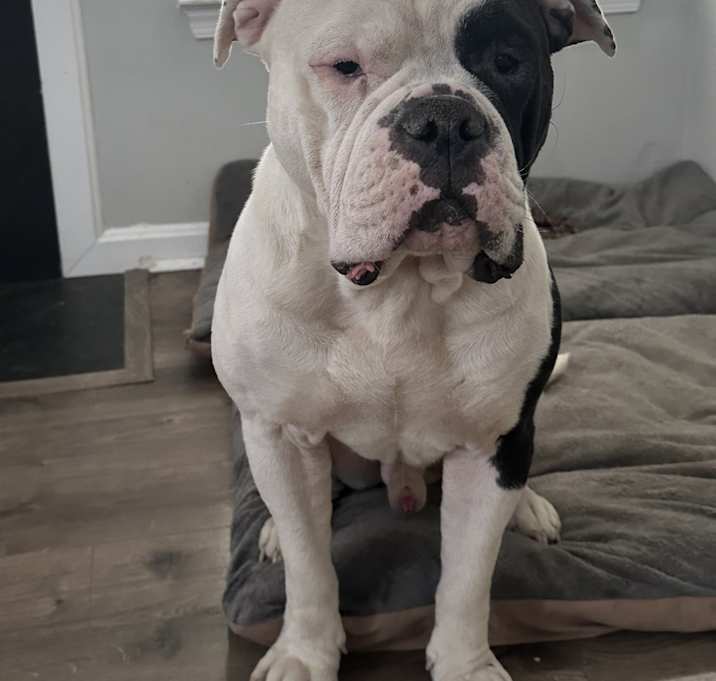 Photo of Neo
