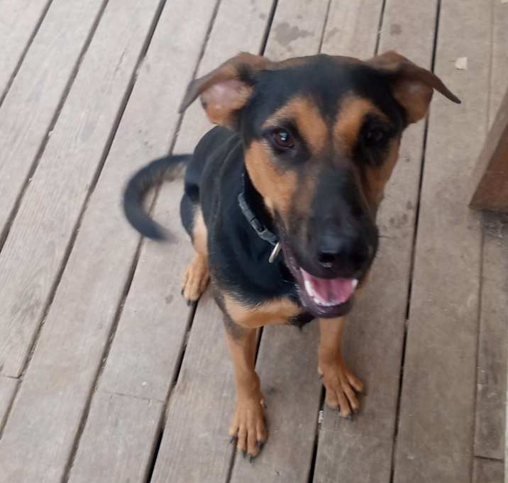 Photo of RUFUS