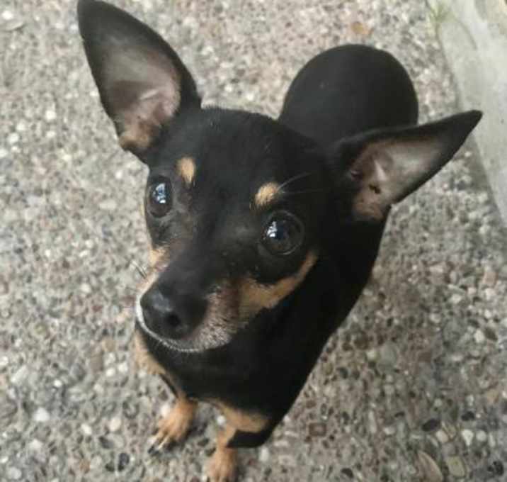 Photo of Spike