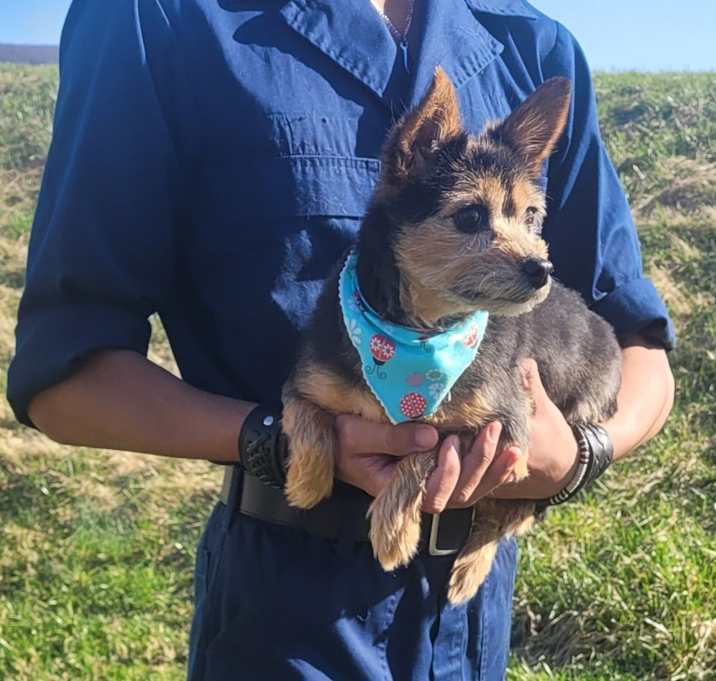 Photo of Nina