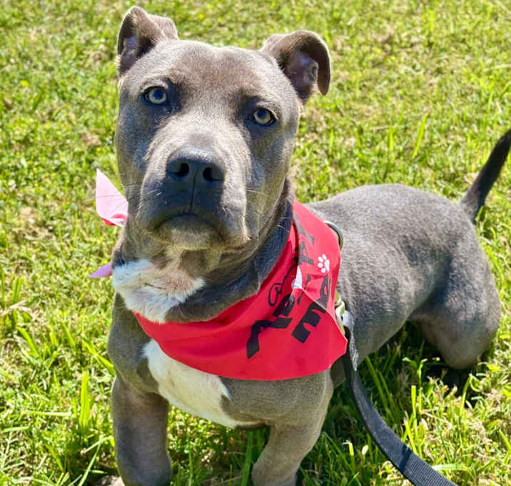 Photo of Ace