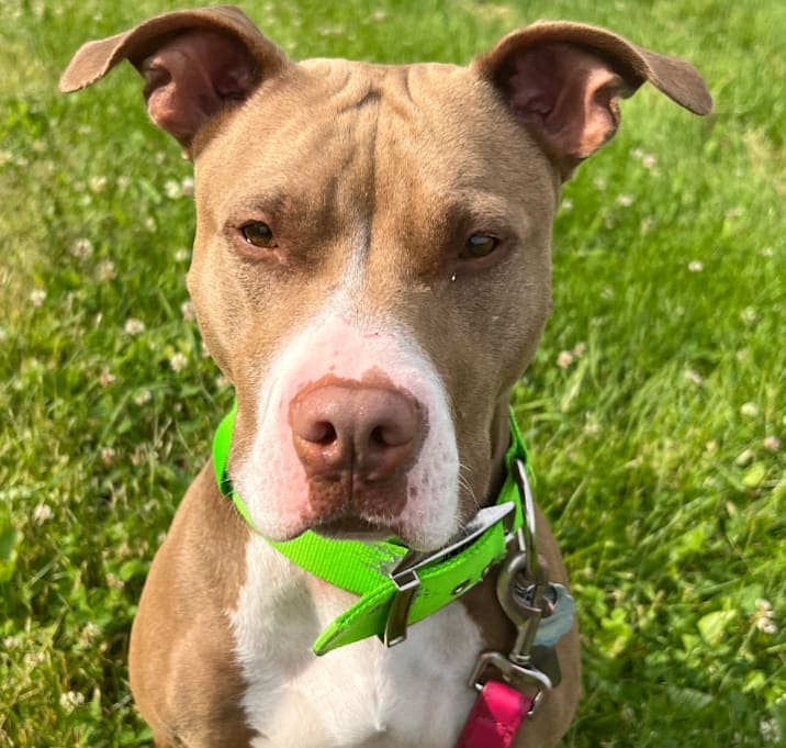 Photo of Mocha