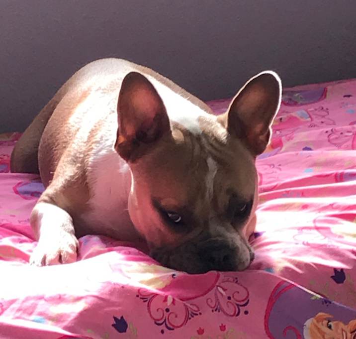Photo of Big T