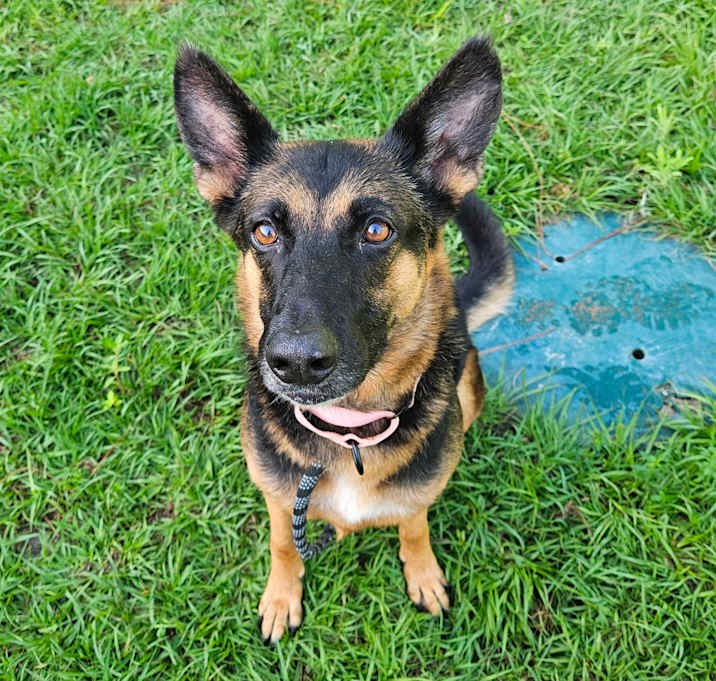 Photo of Keira