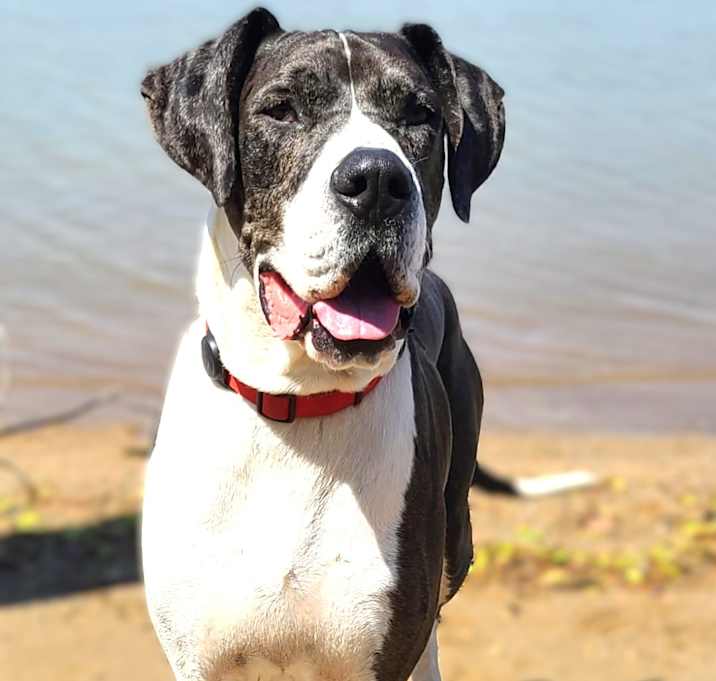 Photo of Buster