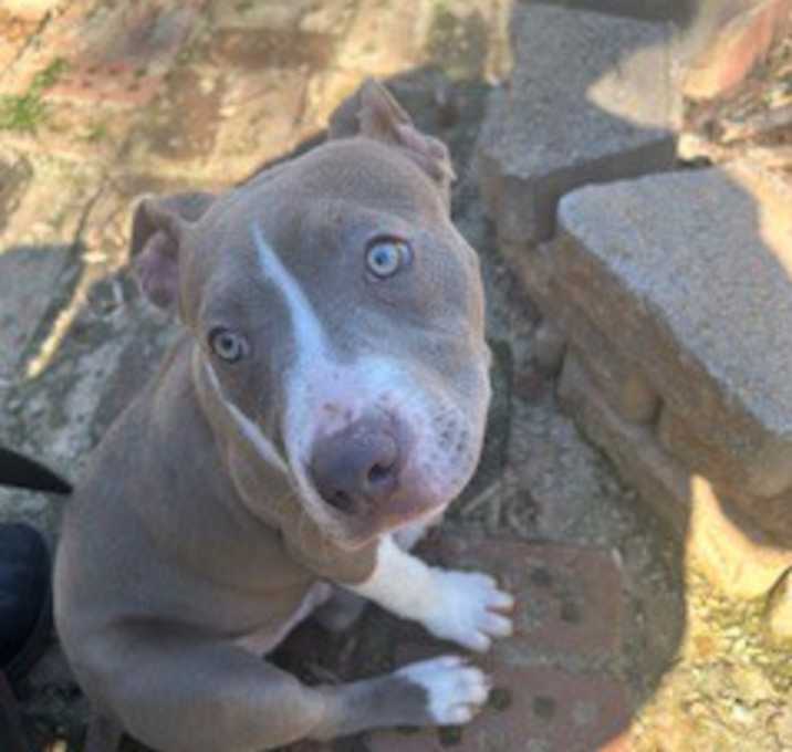 Photo of Tank