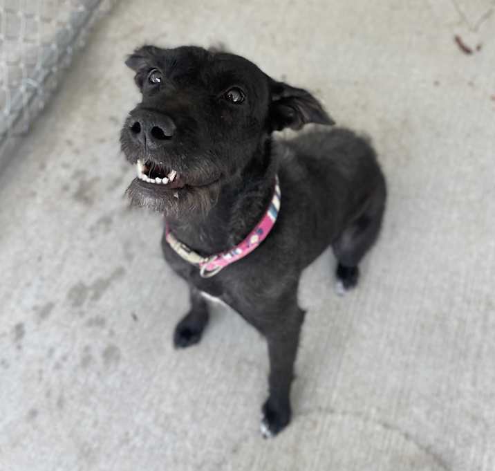 Photo of Lily
