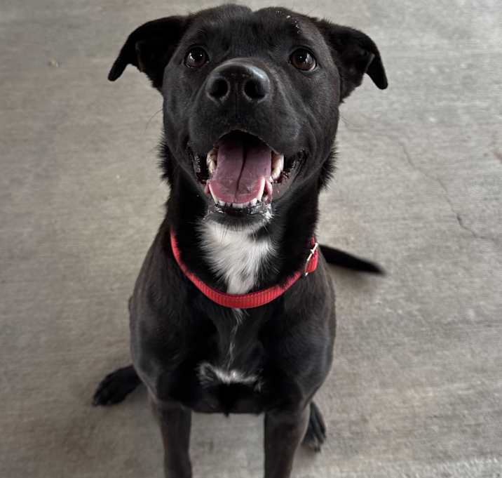 Photo of Nyla