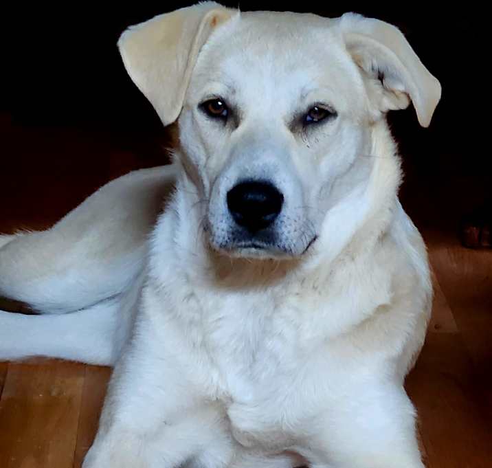 Photo of Hope