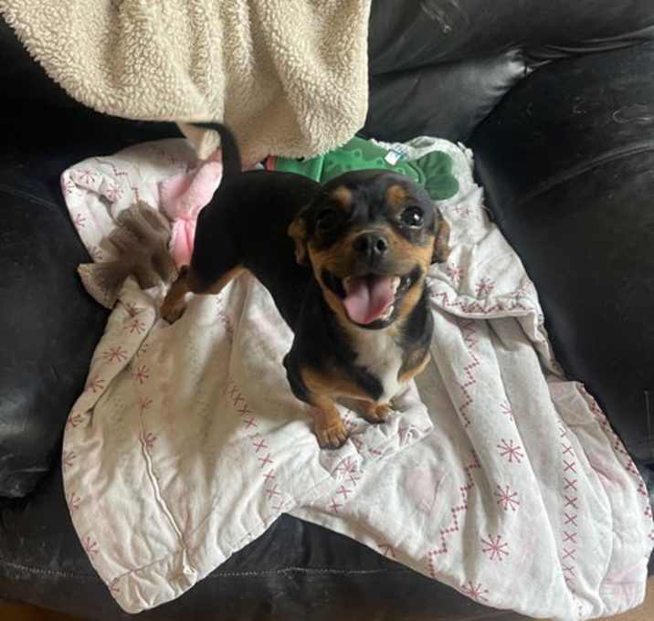 Photo of Mika