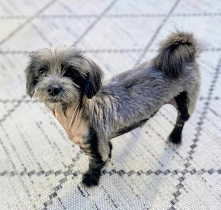 Photo of Millie