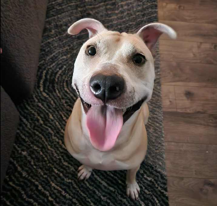 Photo of Dante