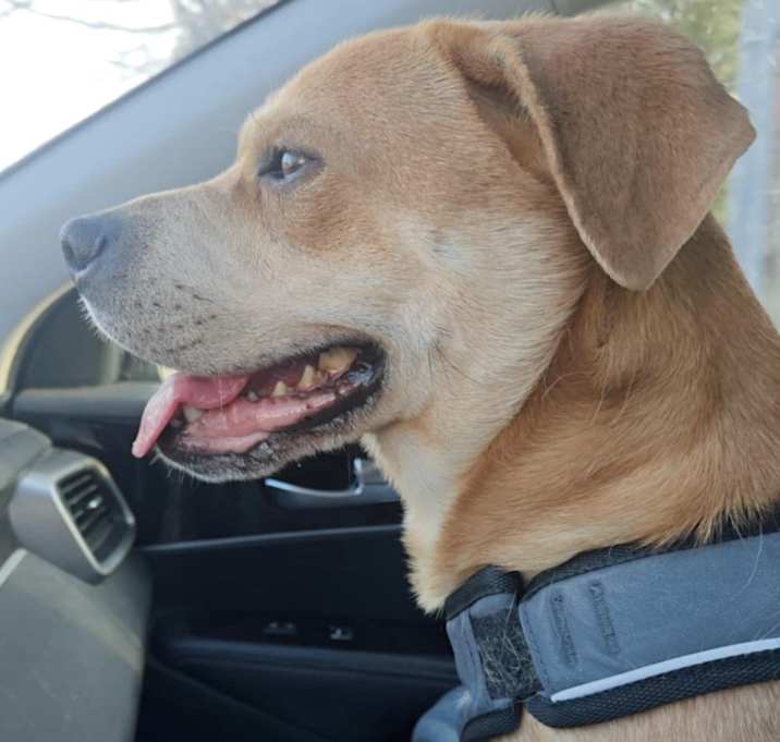 Photo of Charlie