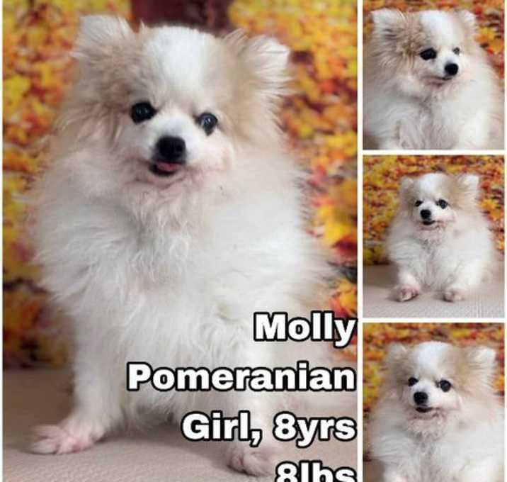 Photo of Molly from Korea