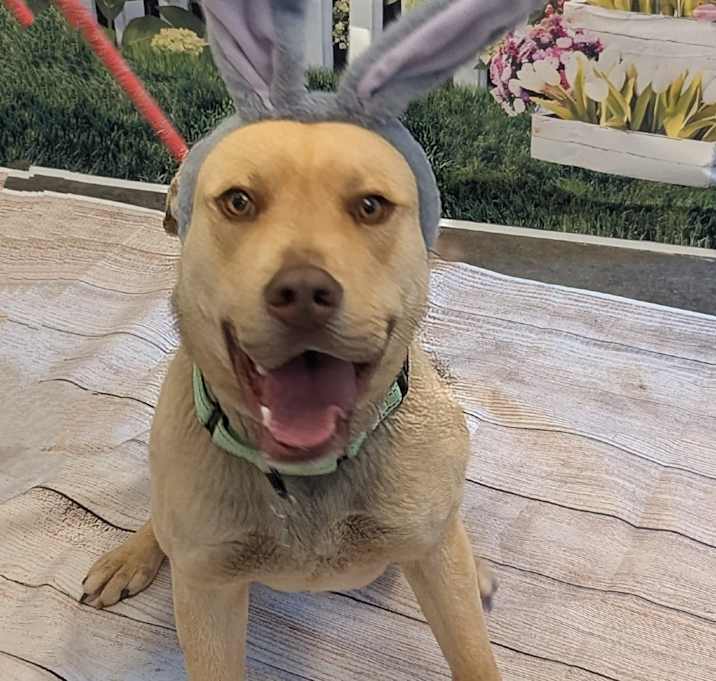 Photo of Hercules
