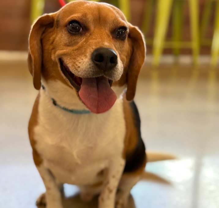 Photo of Sonny Max
