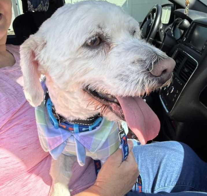 Photo of Murphy