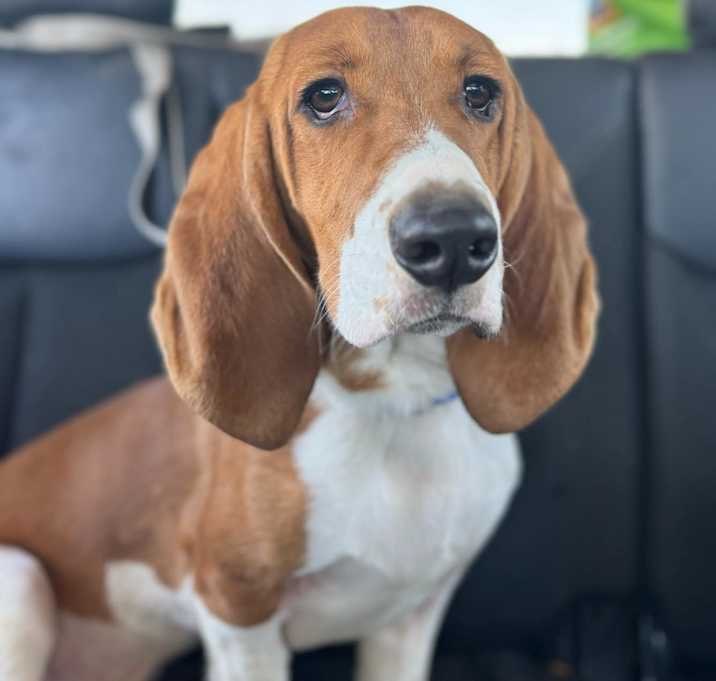 Photo of Roger