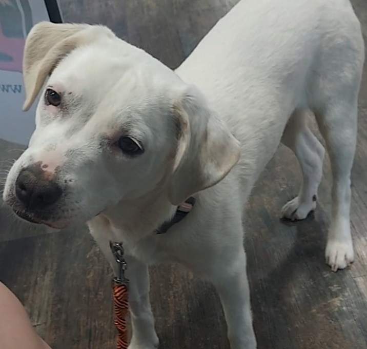Photo of Sprout