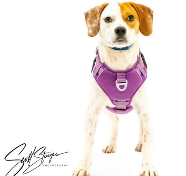 Photo of Billy