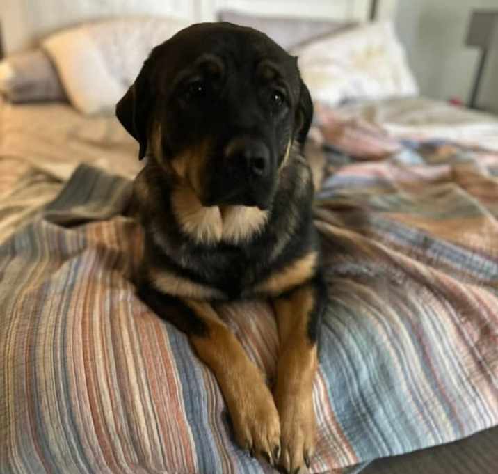 Photo of Maya
