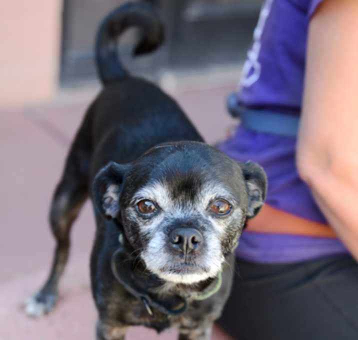 Photo of Maxx *Sponsored, bonded with P