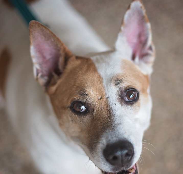 Photo of Crissy